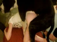 Sexy lady got smashed hard by black dog
